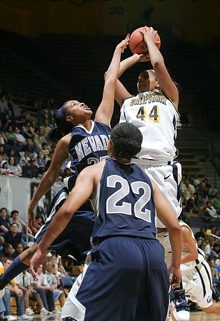 Cal Women's Basketball vs Nevada