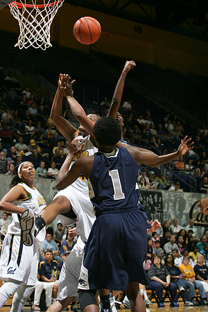Cal Women's Basketball vs Nevada