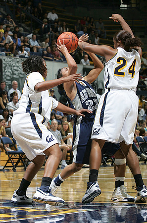Cal Women's Basketball vs Nevada