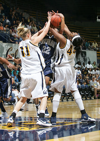 Cal Women's Basketball vs Nevada