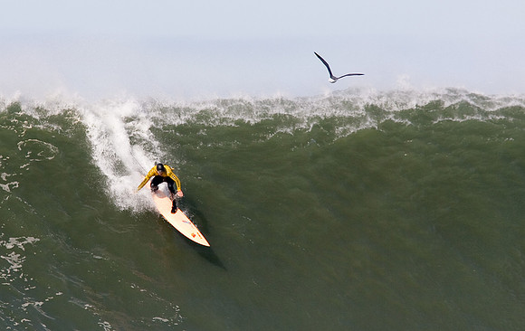 Mavericks 2010