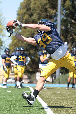 Cal Football Spring Practice