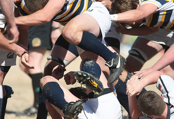 Cal Rugby vs Utah State