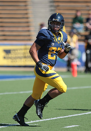 Cal Football vs Colorado