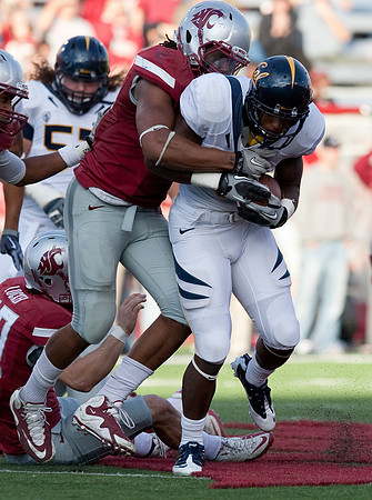 Cal Football vs WSU