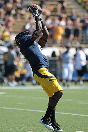 Cal Football vs Colorado