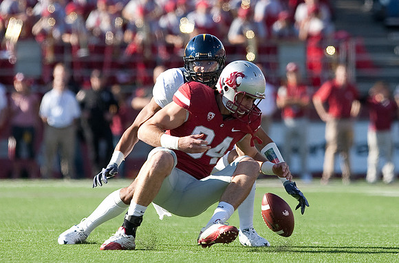 Cal Football vs WSU