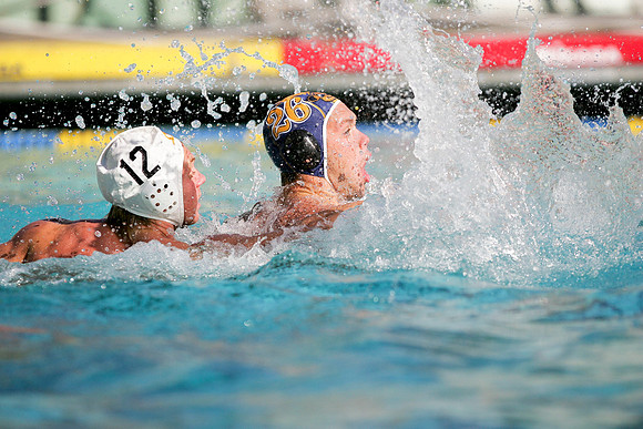 Cal Water Polo vs Santa Cruz