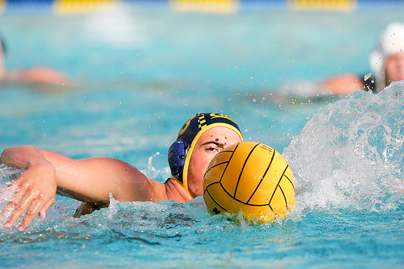 Cal Water Polo vs Santa Cruz