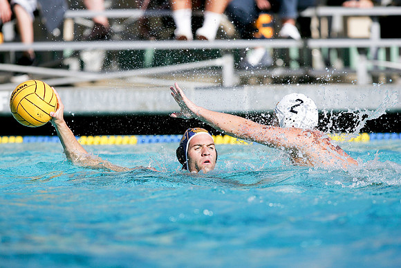 Cal Water Polo vs Santa Cruz