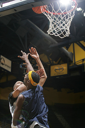 Cal Basketball Alumni Game