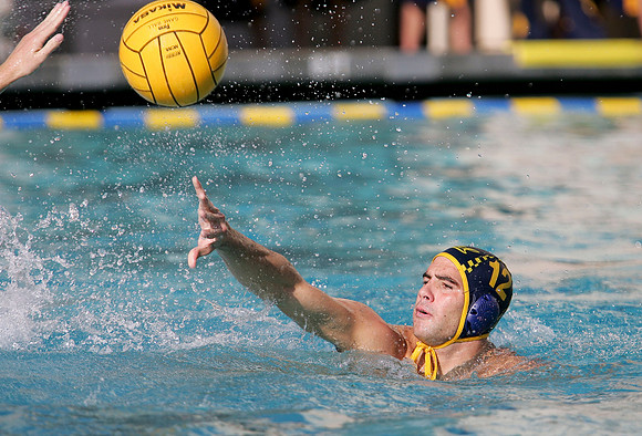 Cal Water Polo vs Stanford Big Splash