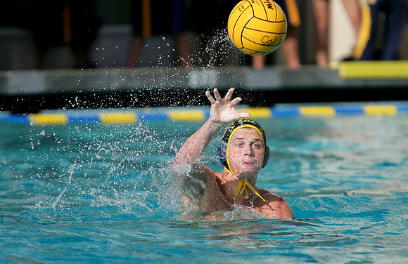 Cal Water Polo vs Stanford Big Splash