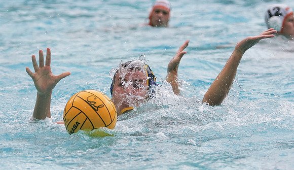 Cal Men's Water Polo vs Pacific