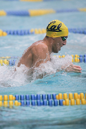 Cal Men's Swimming vs USC