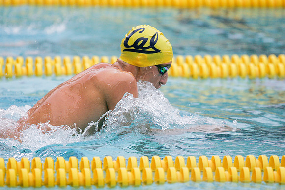 Cal Men's Swimming vs USC