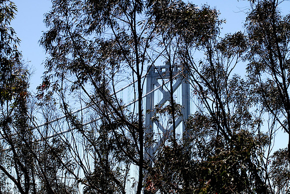SF from TI