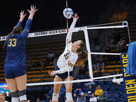 Volleyball: California Golden Bears vs Notre Dame Fighting Irish