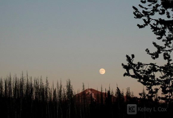 Yellowstone National Park