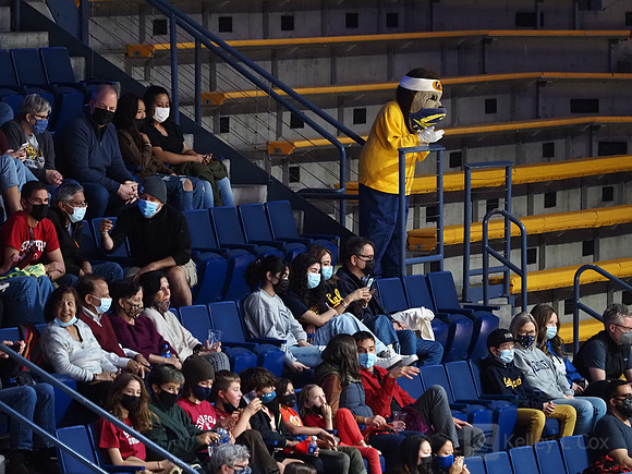 Oski