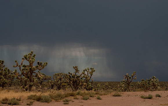 Storm