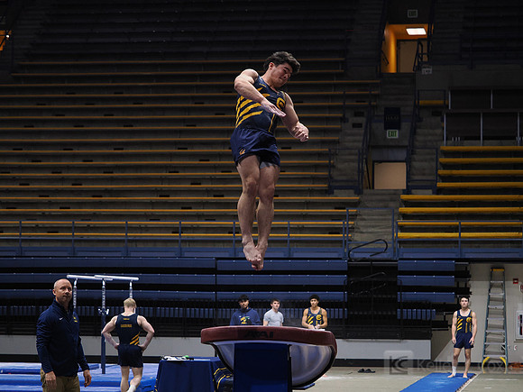 Men’s Gymnastics: California Golden Bears vs Stanford Cardinal