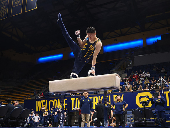 Men’s Gymnastics: California Golden Bears vs Stanford Cardinal
