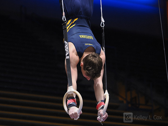 Men’s Gymnastics: California Golden Bears vs Stanford Cardinal