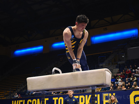 Men’s Gymnastics: California Golden Bears vs Stanford Cardinal