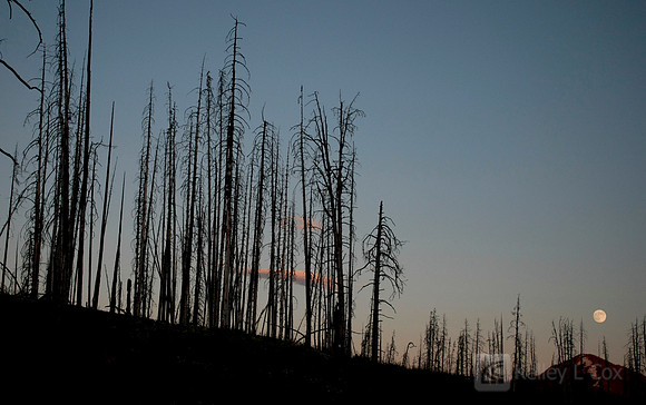 Yellowstone National Park