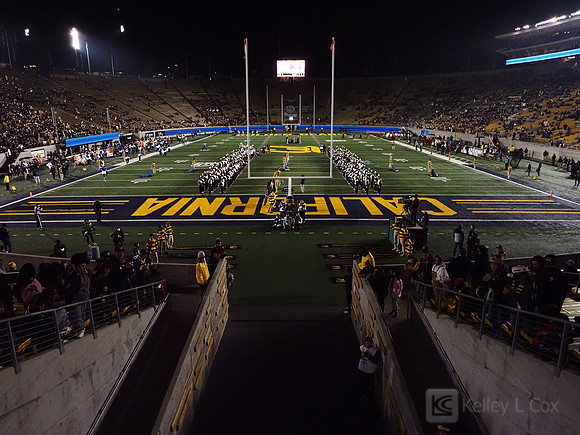 Stadium view