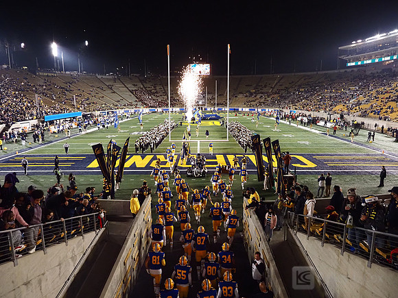 Stadium view