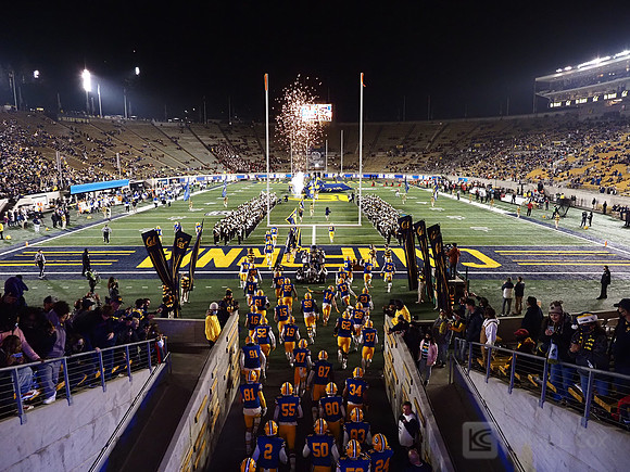 Stadium view
