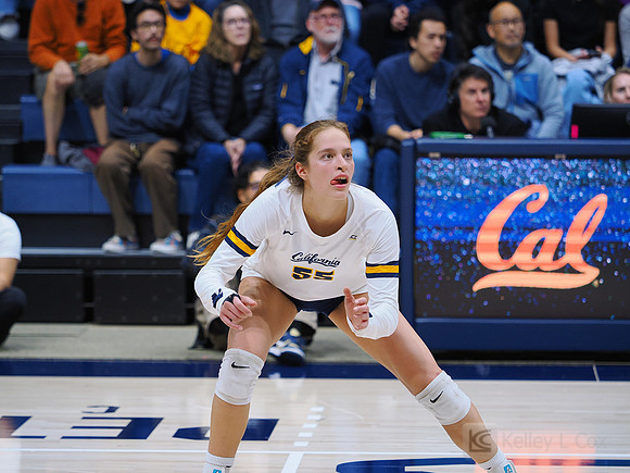 Volleyball: California Golden Bears vs Notre Dame Fighting Irish