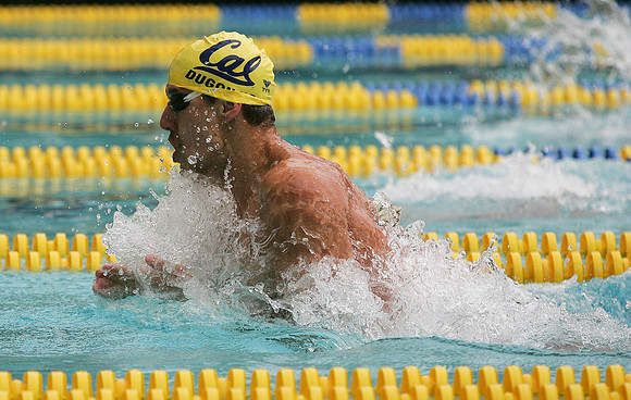 Cal Men's Swimming and Diving vs Stanford