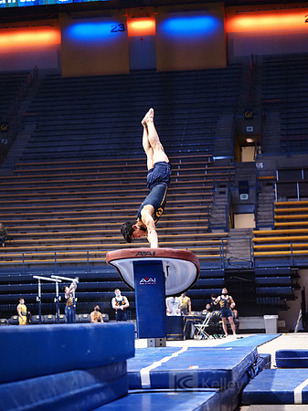 Noah Newfeld