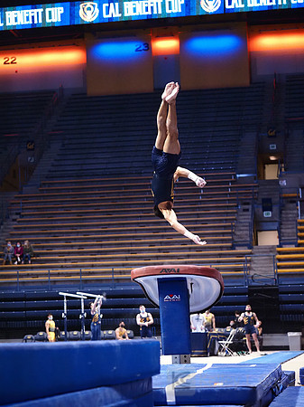 Noah Newfeld