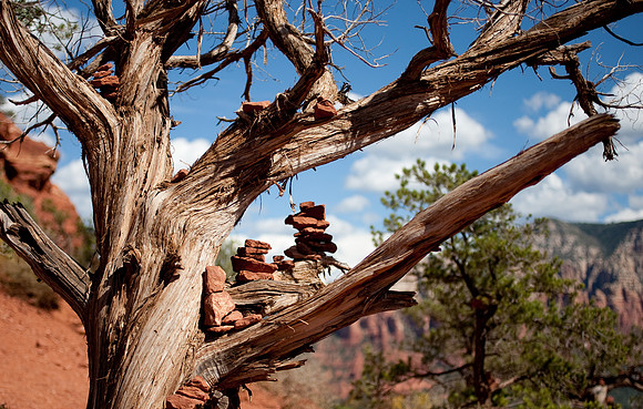 Sedona Vortex
