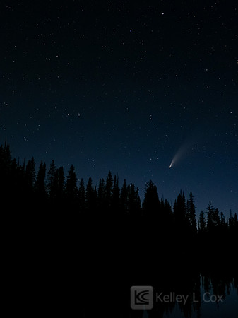 Neowise Comet
