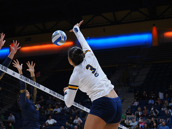 Volleyball: California Golden Bears vs Notre Dame Fighting Irish