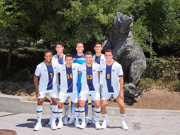 Team