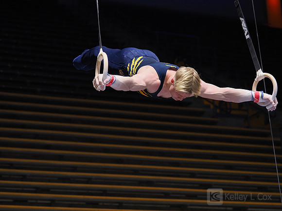 Men’s Gymnastics: California Golden Bears vs Stanford Cardinal