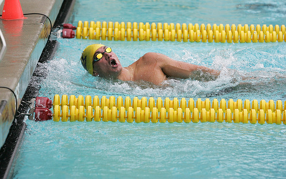 Cal Men's Swimming and Diving vs Stanford