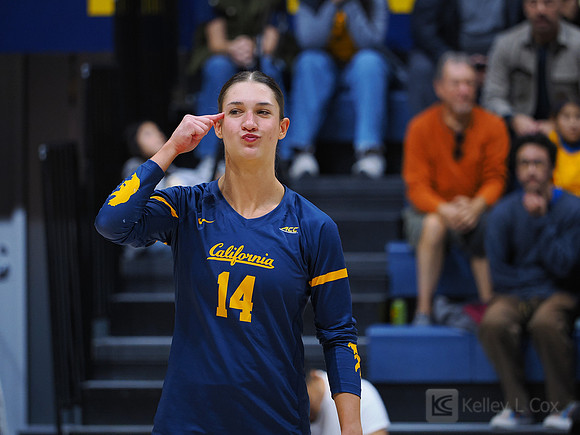 Volleyball: California Golden Bears vs Notre Dame Fighting Irish