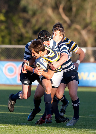 Cal Rugby vs BYU