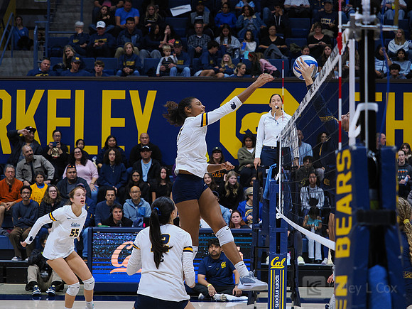 Volleyball: California Golden Bears vs Notre Dame Fighting Irish