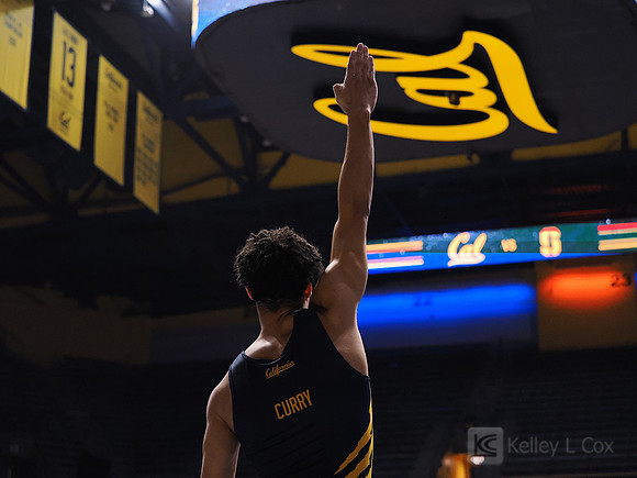 Men’s Gymnastics: California Golden Bears vs Stanford Cardinal