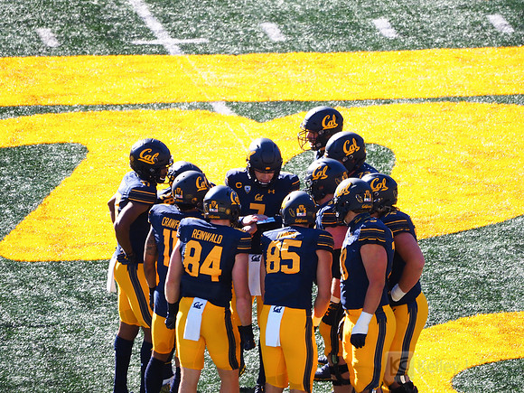Team