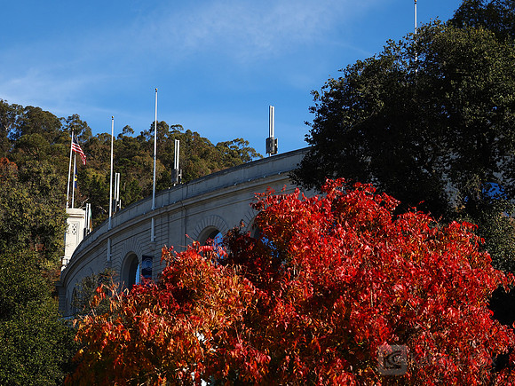 Memorial Stadium