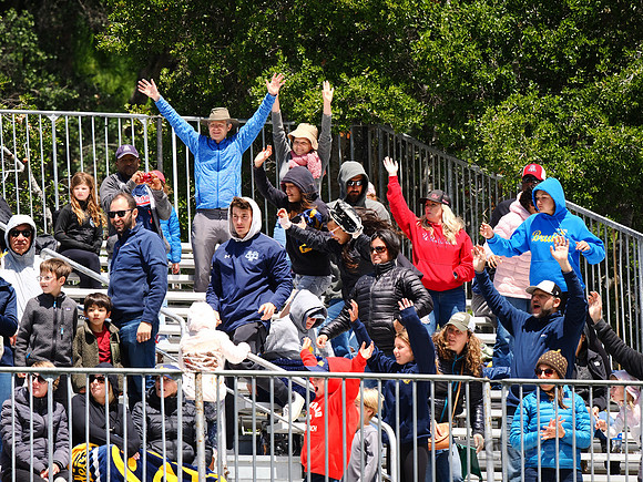 Fans